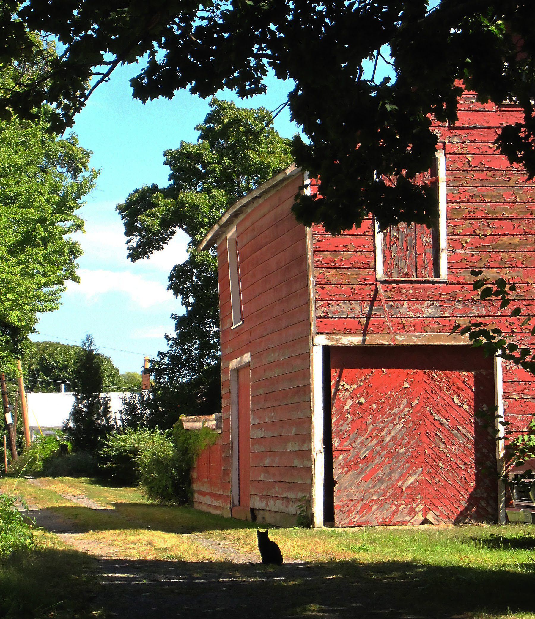 Guardian of the barn