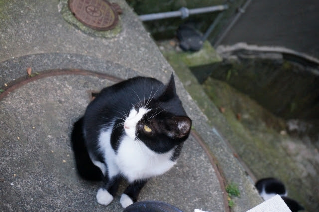 DSC05474.jpg