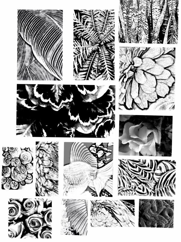 Photobucket Pictures, Images and Photos