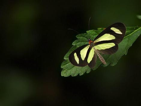 Por: ecoregistros.com.ar