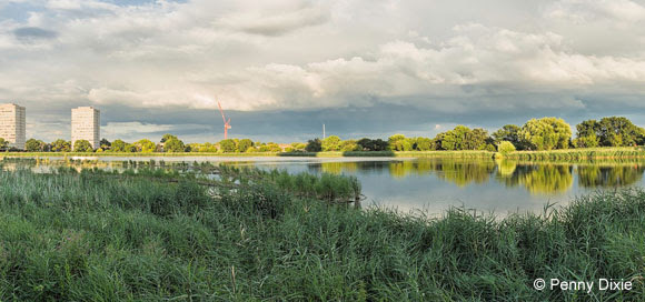 Woodberry Wetlands (credit Penny Dixie)