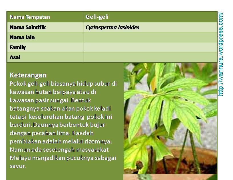 Jawapan Buku Full Blast Plus 4 Anyflip Kris Web