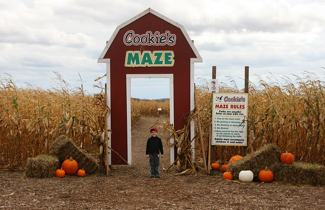 cornmaze-entrance
