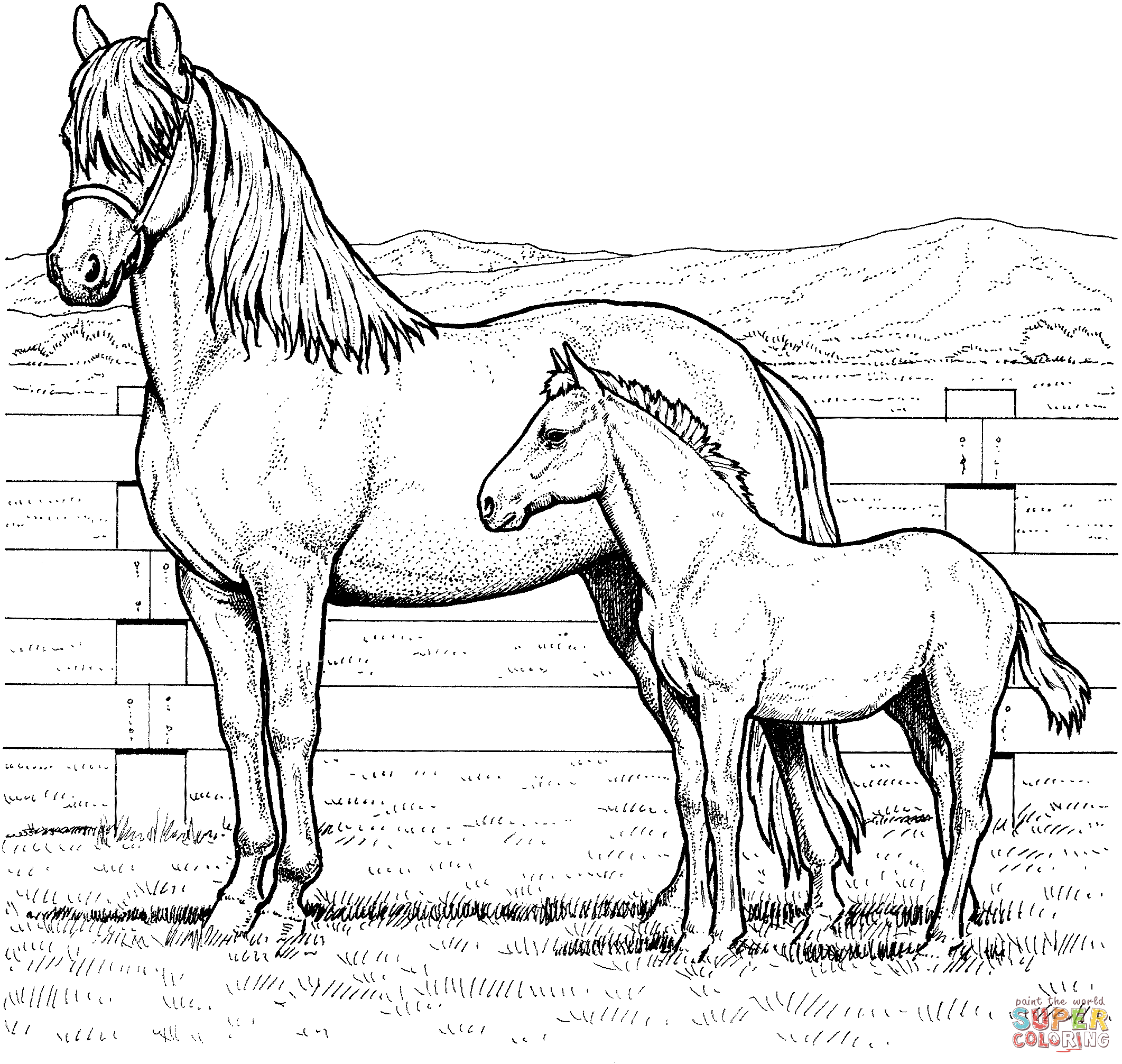 Inspiration Coloriage De Pur Sang Arabe A Imprimer  Des Milliers de