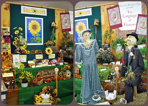 Flowe Displays