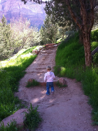 Zion - Watchman Trail
