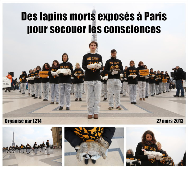 Photo de l'action exposant des lapins morts au Trocadéro, à Paris