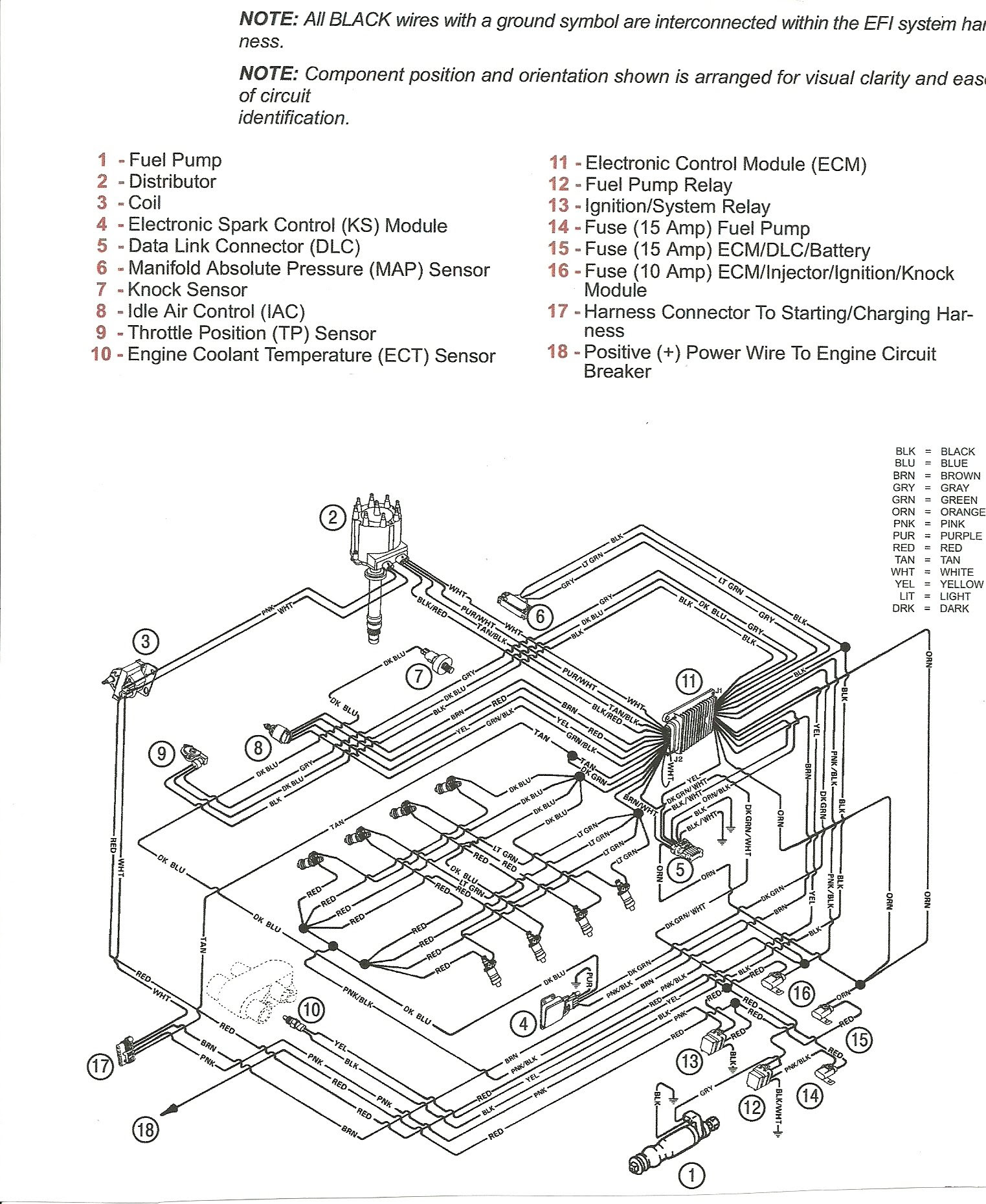 Skeeter Wiring Diagram - Complete Wiring Schemas