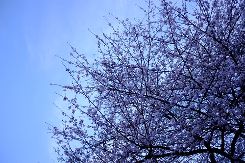 DSCF2494.JPG