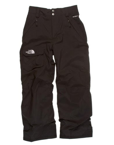 tnf freedom pants