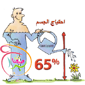أهمية الماء صحة و تغذية