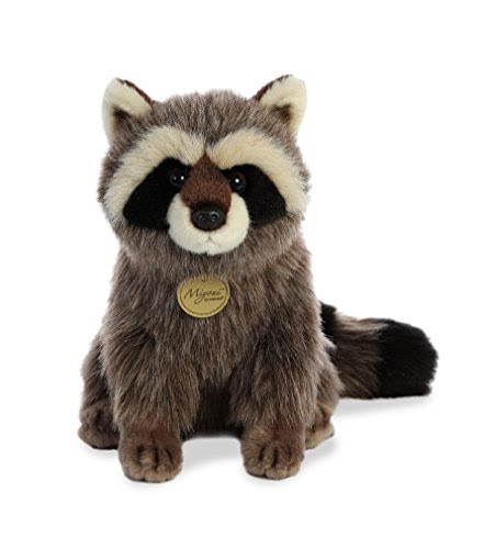 aurora world raccoon