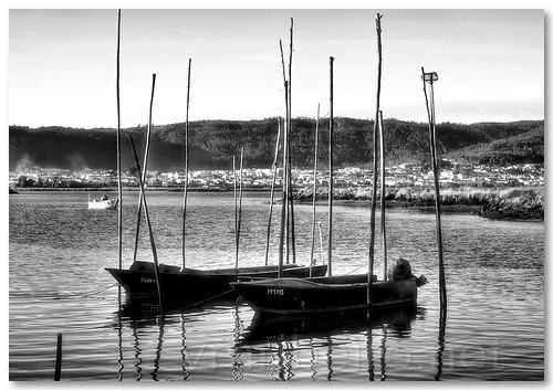 Barcos em Darque by VRfoto
