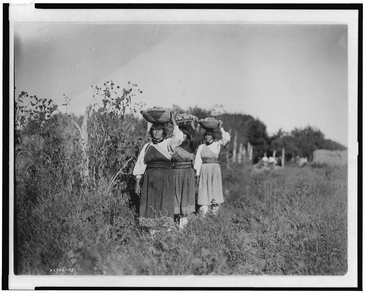 Description of  Title: The Harvest--San Juan.  <br />Date Created/Published: c1905.  <br />Summary: Three women carrying baskets filled with fruit(?) on their heads.  <br />Photograph by Edward S. Curtis, Curtis (Edward S.) Collection, Library of Congress Prints and Photographs Division Washington, D.C.