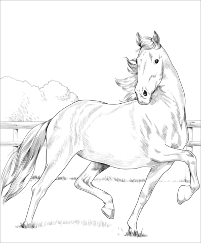 Featured image of post Dibujos De Caballos Para Imprimir