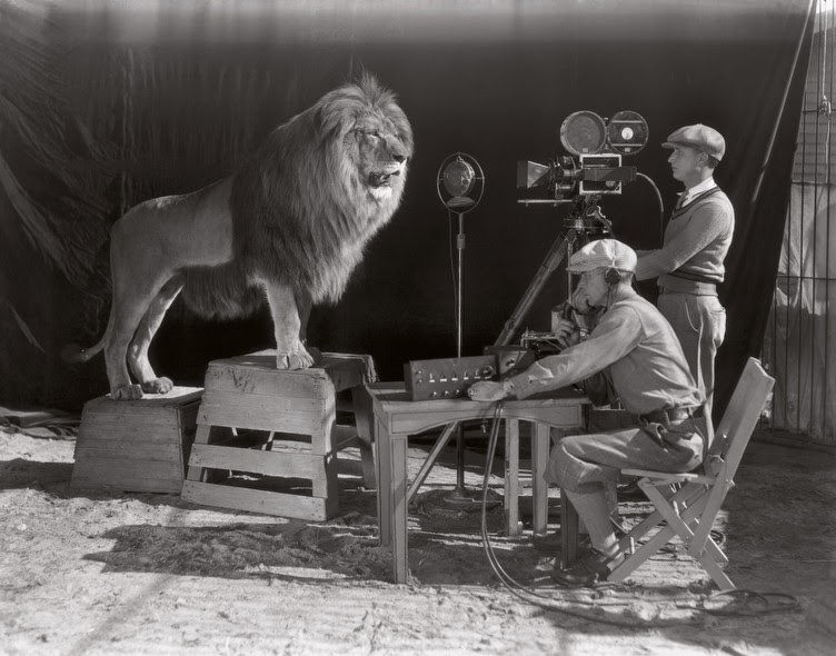 El famoso león de la Metro-Goldwyn-Mayer - ASOMBROSO