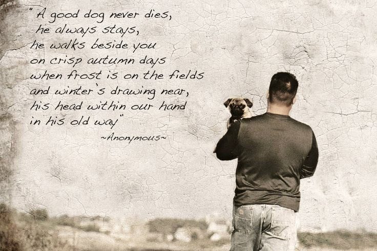 Pet Loss Quotes Dogs. QuotesGram Pet Loss Quotes Dogs. QuotesGram