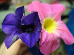 daughter flowera