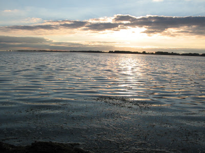 Willow Glade Sunset