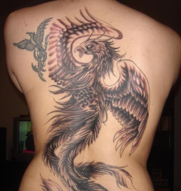 Gambar Tato Burung Merak - Gambar Kodok HD