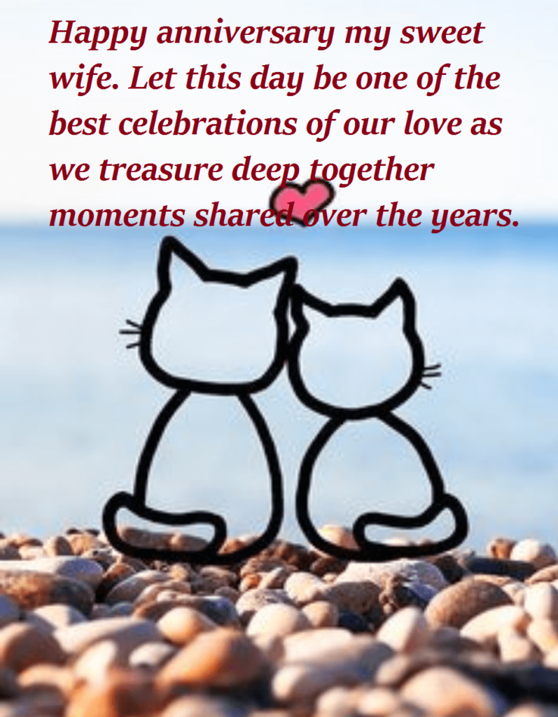 Happy Anniversary Quotes Wishes For Wife