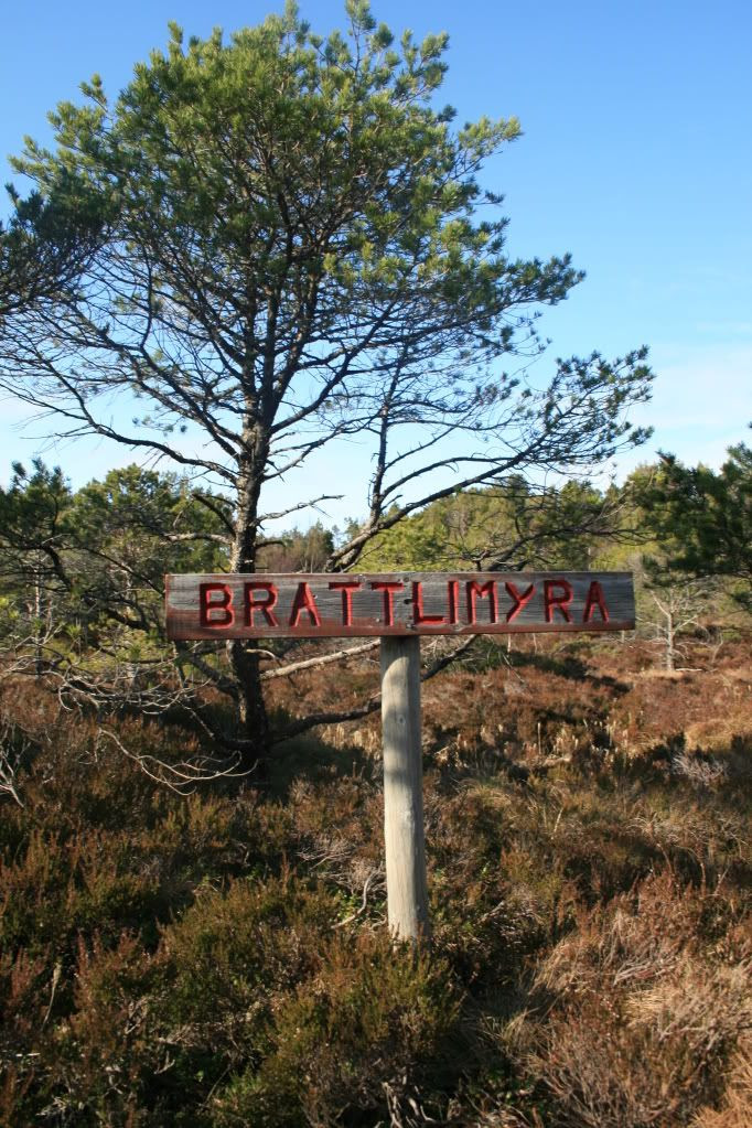 På veg opp til Brandsøyåsen