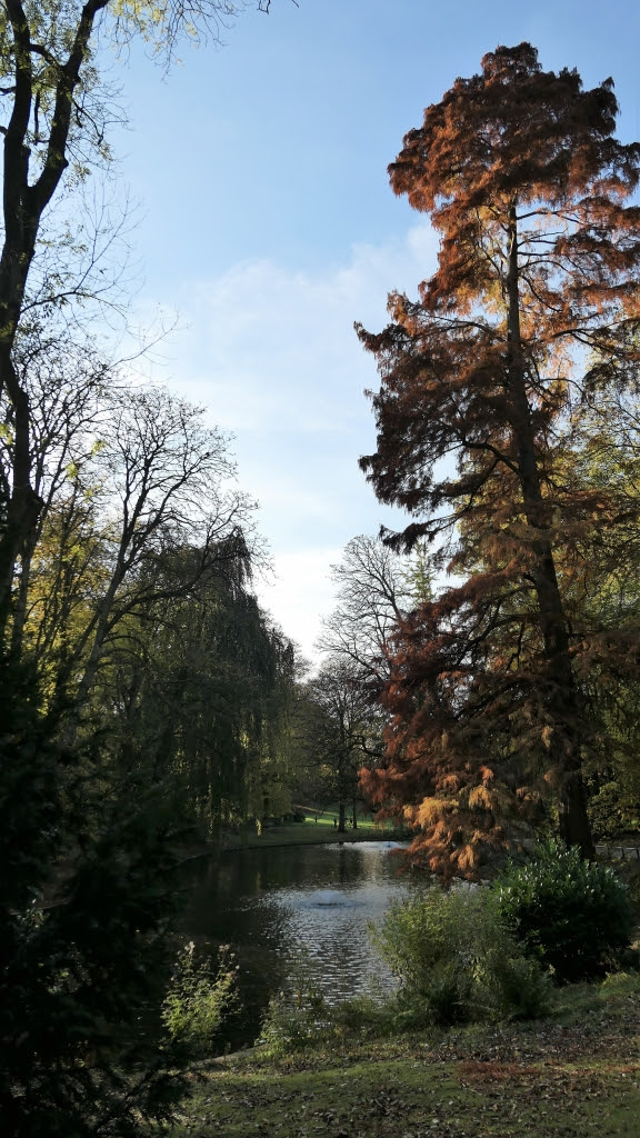 Exemple De Haiku Sur La Nature  Le Meilleur Exemple