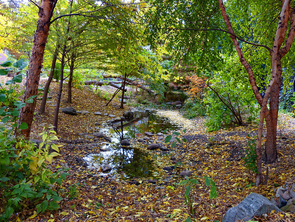 El Jardin de Paraiso