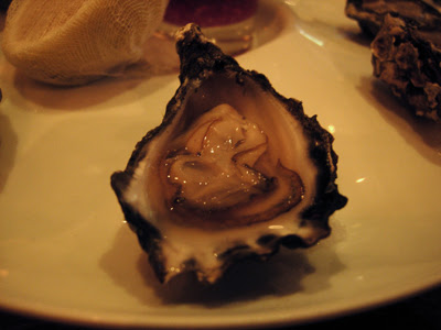 0DSCN6295.jpg