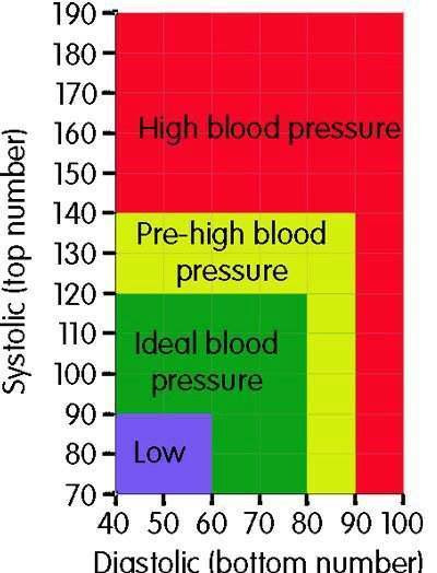 balunywa-bytes-your-blood