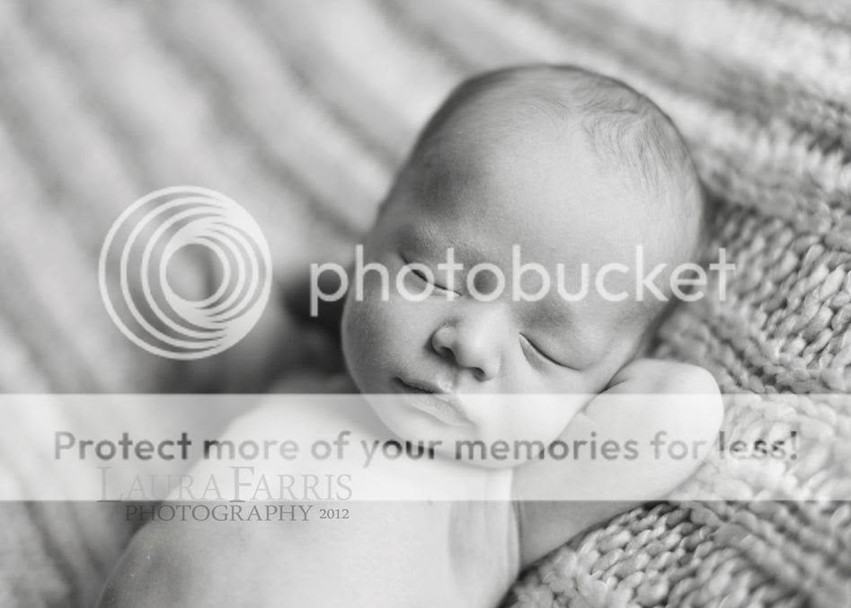 meridian idaho newborn photographers