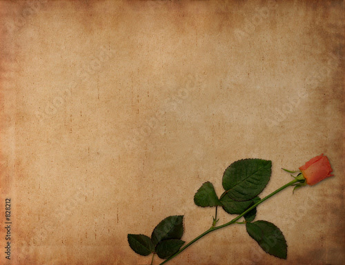 lacviferculp-love-letter-background