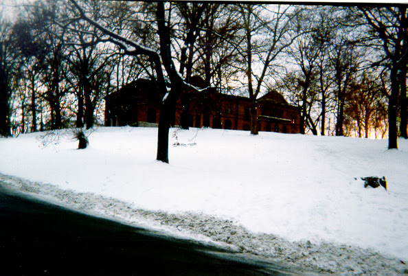 http://andrewcarnegie2.tripod.com/LibraryPark-snow1-2.JPG