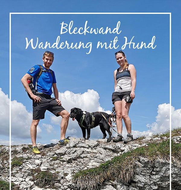 Genial Hüttenwanderung Mit Hund Allgäu