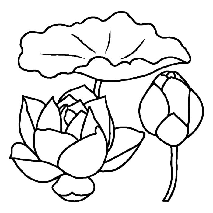無料イラスト画像 最高白黒 蓮 イラスト フリー