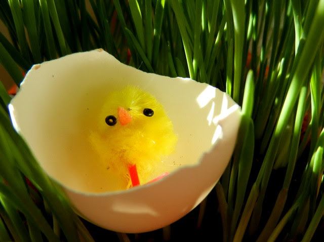 Easter_13