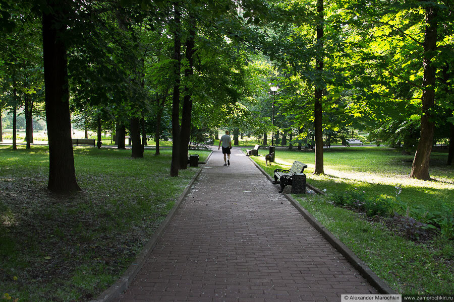 Мужчина с собакой в Екатерининском парке