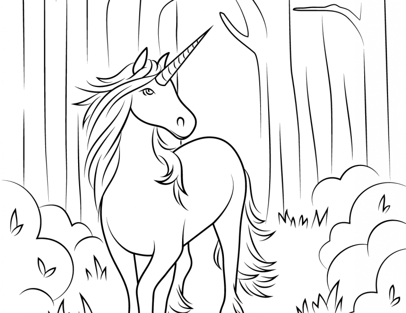 Fairy With Unicorn Coloring Pages - coloring pages