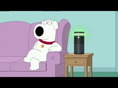 funny cats and dogs: Brian Falls in Love With Amazon Alexa - Family Guy
