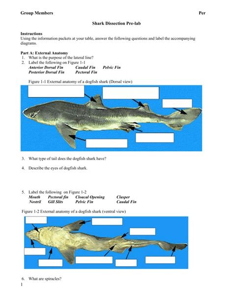 download-dogfish-shark-dissection-lab-answer-key-audio-cd-mcgraw-hill-microbiology-lab-manual