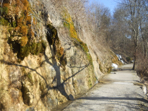 Reichenbach