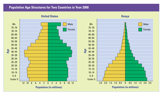 26 What Is An Age Structure Diagram - Wiring Database 2020