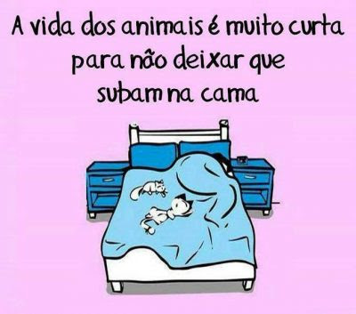 dormir com cachorro