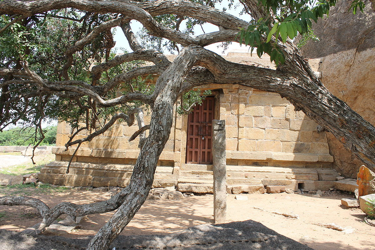 File:"A holy tree in front of Rock Cut Siva Temple of Malayadipatti".JPG
