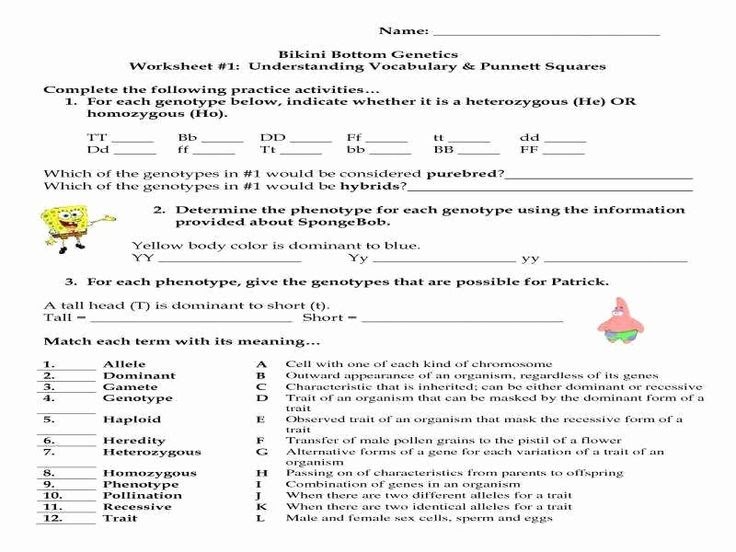 Precalculus Worksheets With Answers Pdf / 7th Grade Math Worksheets PDF