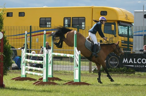 Showjumping