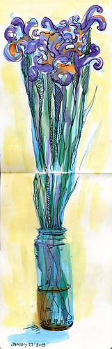 January Irises