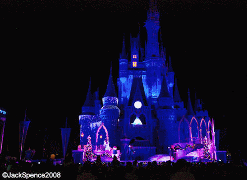 Magic Kingdom Castle Lighting Ceremony