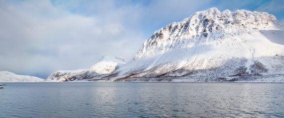 ARCTIQUE