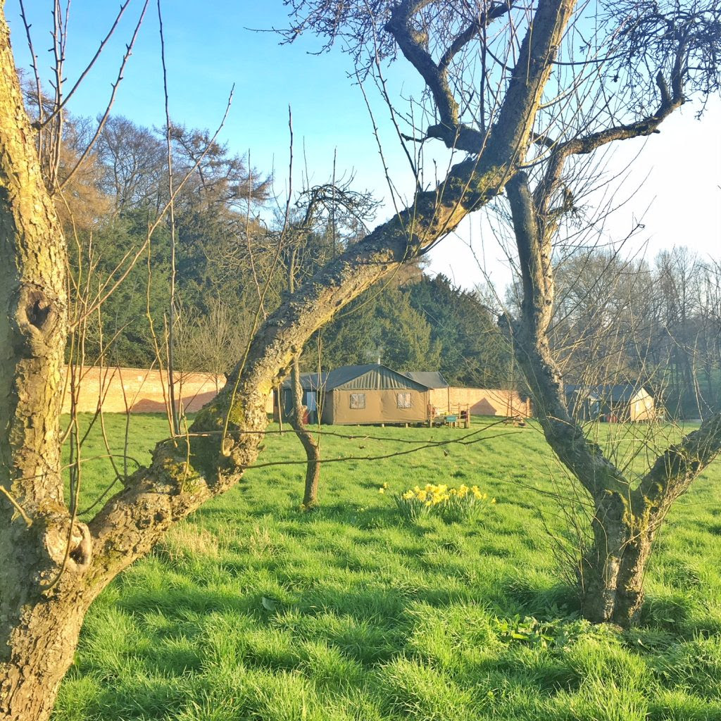 Review: Glamping With Lantern And Larks